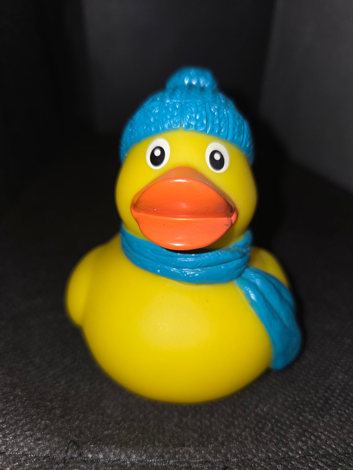 Rubber Duck - Winter