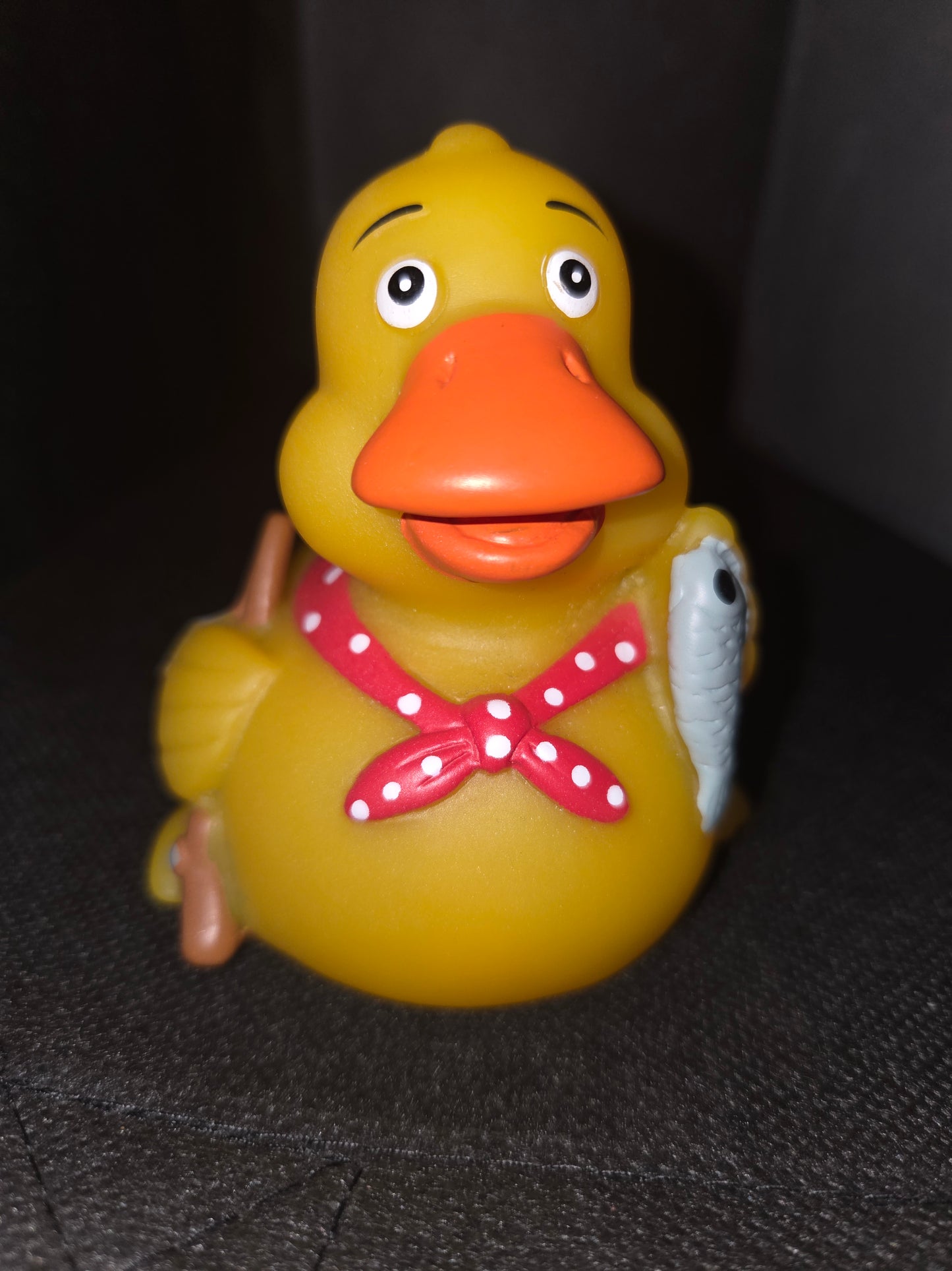 Rubber Duck - Fishing