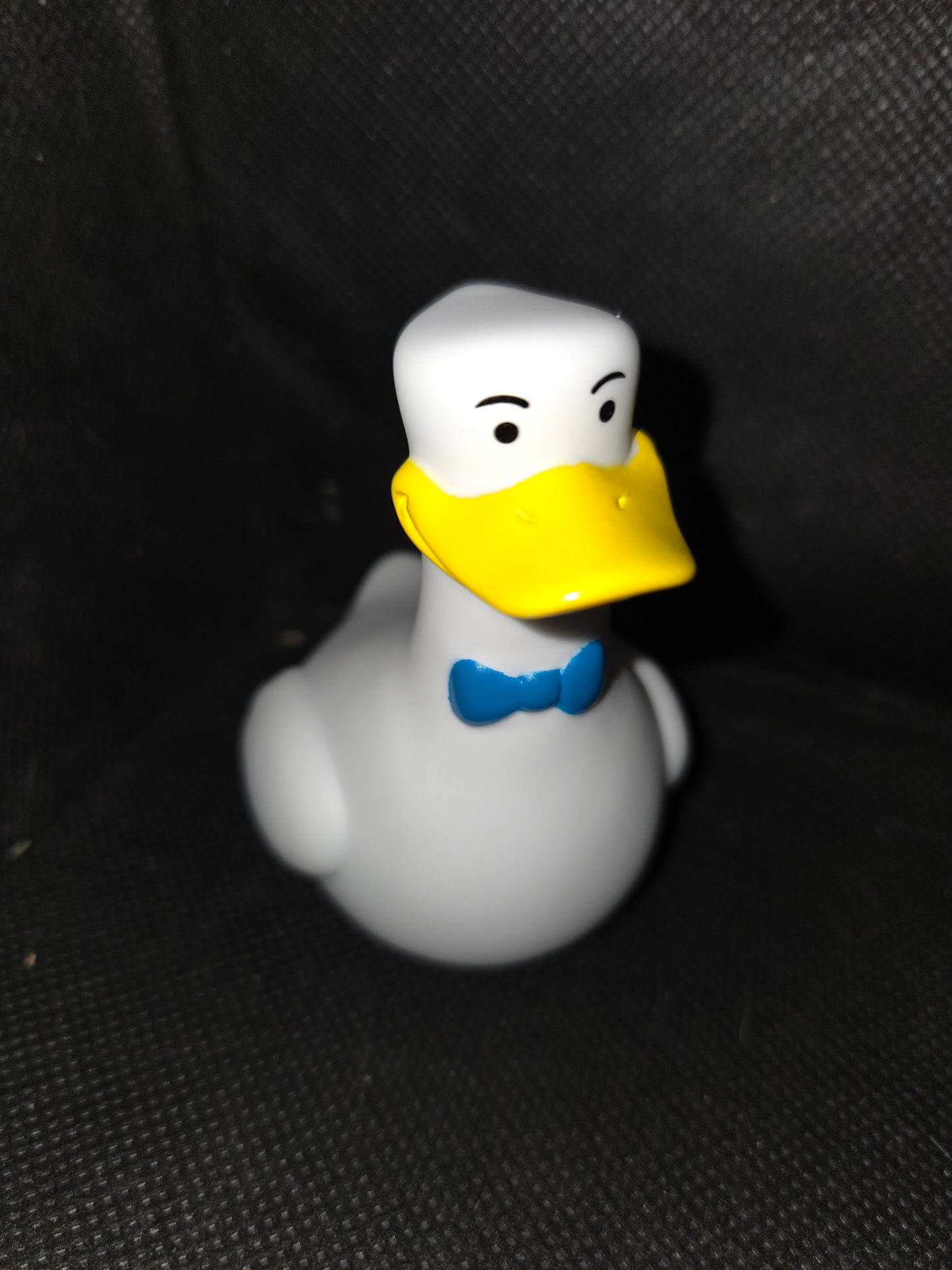 Rubber Duck - Seagull