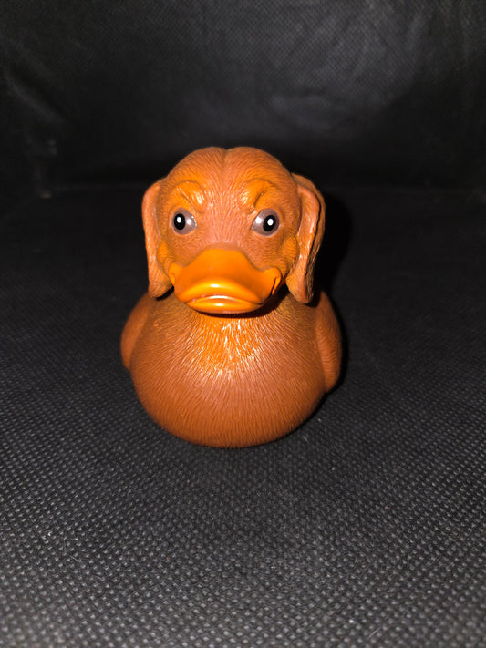 Rubber Duck - Dog